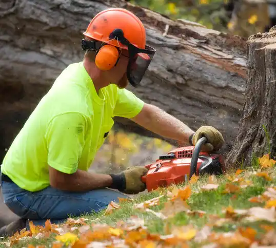 tree services Golden Triangle